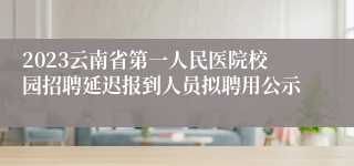 2023云南省第一人民医院校园招聘延迟报到人员拟聘用公示