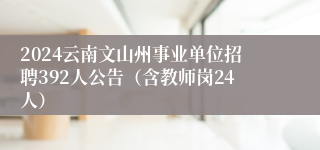 2024云南文山州事业单位招聘392人公告（含教师岗24人）