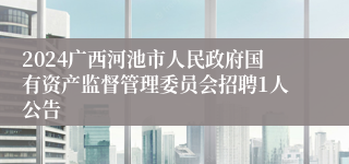 2024广西河池市人民政府国有资产监督管理委员会招聘1人公告