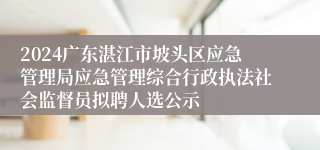 2024广东湛江市坡头区应急管理局应急管理综合行政执法社会监督员拟聘人选公示