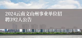 2024云南文山州事业单位招聘392人公告