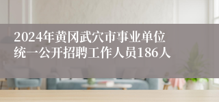 2024年黄冈武穴市事业单位统一公开招聘工作人员186人