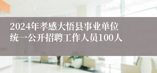 2024年孝感大悟县事业单位统一公开招聘工作人员100人