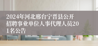 2024年河北邢台宁晋县公开招聘事业单位人事代理人员201名公告