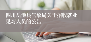 四川岳池县气象局关于招收就业见习人员的公告