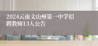 2024云南文山州第一中学招聘教师13人公告