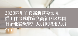 2023四川宜宾高新管委会党群工作部选聘宜宾高新区区属国有企业高级管理人员拟聘用人员公示