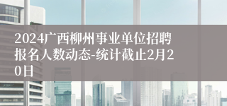 2024广西柳州事业单位招聘报名人数动态-统计截止2月20日