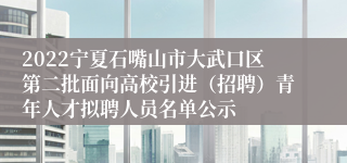 2022宁夏石嘴山市大武口区第二批面向高校引进（招聘）青年人才拟聘人员名单公示
