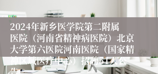 2024年新乡医学院第二附属医院（河南省精神病医院）北京大学第六医院河南医院（国家精神区域医疗中心）招聘51人公告