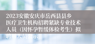 2023安徽安庆市岳西县县乡医疗卫生机构招聘紧缺专业技术人员（因怀孕暂缓体检考生）拟聘用人员公示