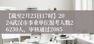 【截至2月23日17时】2024武汉市事业单位报考人数26230人，审核通过20852人