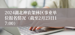 2024湖北神农架林区事业单位报名情况（截至2月23日17:00）