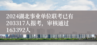 2024湖北事业单位联考已有203317人报考，审核通过163392人