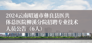 2024云南昭通市彝良县医共体总医院柳溪分院招聘专业技术人员公告（6人）