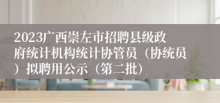 2023广西崇左市招聘县级政府统计机构统计协管员（协统员）拟聘用公示（第二批）