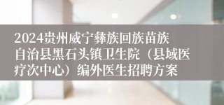 2024贵州威宁彝族回族苗族自治县黑石头镇卫生院（县域医疗次中心）编外医生招聘方案