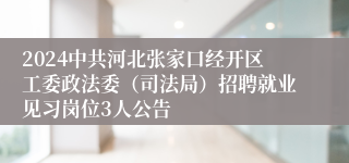 2024中共河北张家口经开区工委政法委（司法局）招聘就业见习岗位3人公告