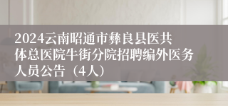 2024云南昭通市彝良县医共体总医院牛街分院招聘编外医务人员公告（4人）