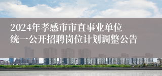 2024年孝感市市直事业单位统一公开招聘岗位计划调整公告
