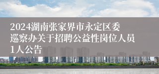 2024湖南张家界市永定区委巡察办关于招聘公益性岗位人员1人公告