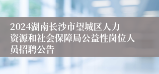 2024湖南长沙市望城区人力资源和社会保障局公益性岗位人员招聘公告