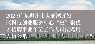 2023广东惠州市大亚湾开发区科技创业服务中心“惠”聚优才招聘事业单位工作人员拟聘用人员公示