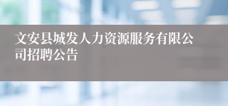 文安县城发人力资源服务有限公司招聘公告