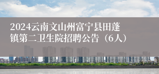 2024云南文山州富宁县田蓬镇第二卫生院招聘公告（6人）