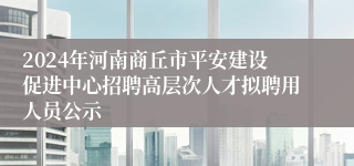 2024年河南商丘市平安建设促进中心招聘高层次人才拟聘用人员公示