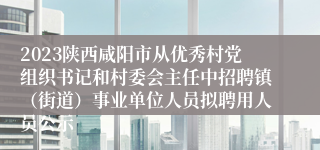 2023陕西咸阳市从优秀村党组织书记和村委会主任中招聘镇（街道）事业单位人员拟聘用人员公示