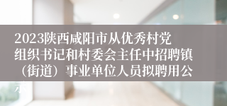 2023陕西咸阳市从优秀村党组织书记和村委会主任中招聘镇（街道）事业单位人员拟聘用公示