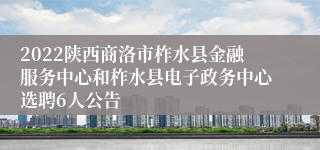 2022陕西商洛市柞水县金融服务中心和柞水县电子政务中心选聘6人公告