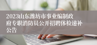 2023山东潍坊市事业编制政府专职消防员公开招聘体检递补公告