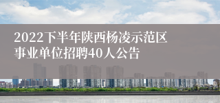 2022下半年陕西杨凌示范区事业单位招聘40人公告