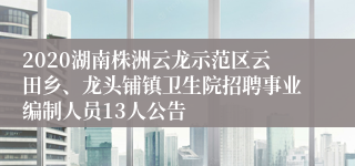 2020湖南株洲云龙示范区云田乡、龙头铺镇卫生院招聘事业编制人员13人公告