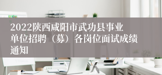 2022陕西咸阳市武功县事业单位招聘（募）各岗位面试成绩通知