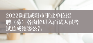 2022陕西咸阳市事业单位招聘（募）各岗位进入面试人员考试总成绩等公告