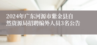 2024年广东河源市紫金县自然资源局招聘编外人员3名公告