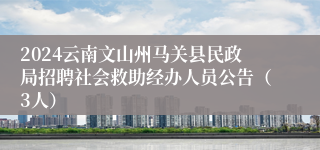 2024云南文山州马关县民政局招聘社会救助经办人员公告（3人）