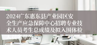 2024广东惠东县产业园区安全生产应急保障中心招聘专业技术人员考生总成绩及拟入围体检人员名单公示