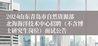 2024山东青岛市自然资源部北海海洋技术中心招聘（不含博士研究生岗位）面试公告