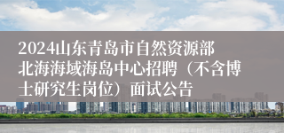 2024山东青岛市自然资源部北海海域海岛中心招聘（不含博士研究生岗位）面试公告