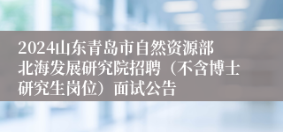 2024山东青岛市自然资源部北海发展研究院招聘（不含博士研究生岗位）面试公告