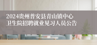 2024贵州普安县青山镇中心卫生院招聘就业见习人员公告