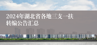 2024年湖北省各地三支一扶转编公告汇总