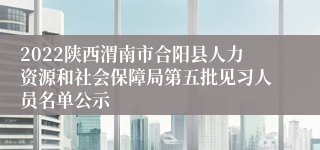 2022陕西渭南市合阳县人力资源和社会保障局第五批见习人员名单公示