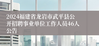 2024福建省龙岩市武平县公开招聘事业单位工作人员46人公告