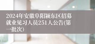 2024年安徽阜阳颍东区招募就业见习人员251人公告(第一批次）