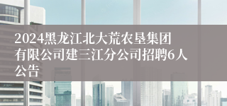 2024黑龙江北大荒农垦集团有限公司建三江分公司招聘6人公告